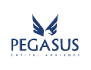 Pegasus