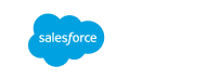 Salesforce Partner